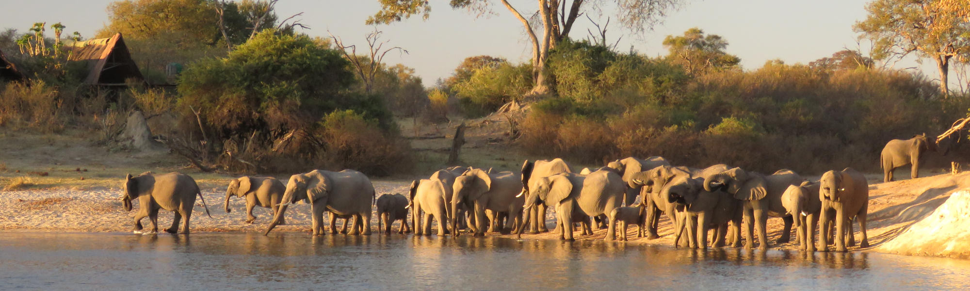 Gravel Road Adventures, Self-Drive Elephant Game Viewing, South Africa