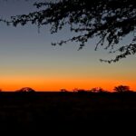 Return to Kgalagadi